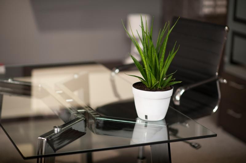 AdobeStock_91507050 Homeglass